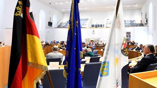 Symbolbild zu Internationaler Zusammenarbeit: Zu sehen sind drei Flaggen im Plenarsaal