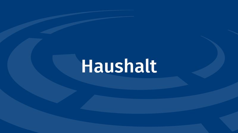 Symbolbild: Logo des Landtags mit Schriftzug 