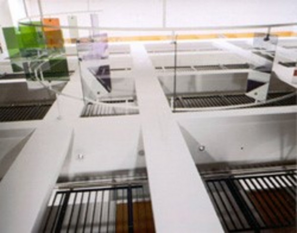 Kunstausstellung von Petra Goldmann im Abgeordnetenhaus ©Landtag RLP Kunstausstellung von Petra Goldmann im Abgeordnetenhaus