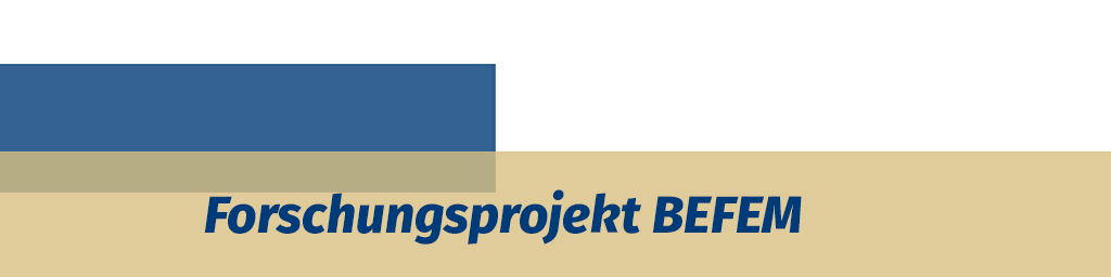 Forschungsprojekt BEFEM